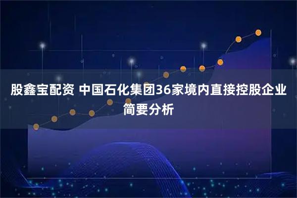 股鑫宝配资 中国石化集团36家境内直接控股企业简要分析